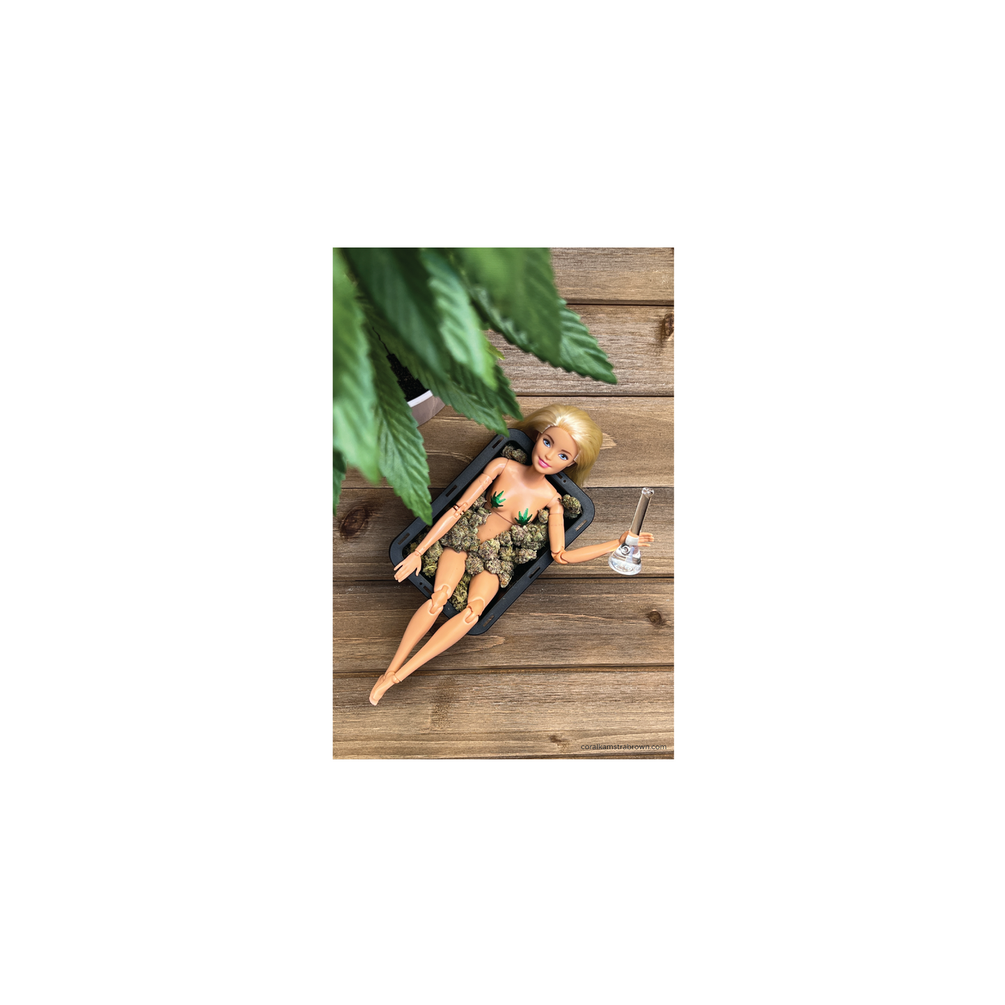 Harvest Hottie Print