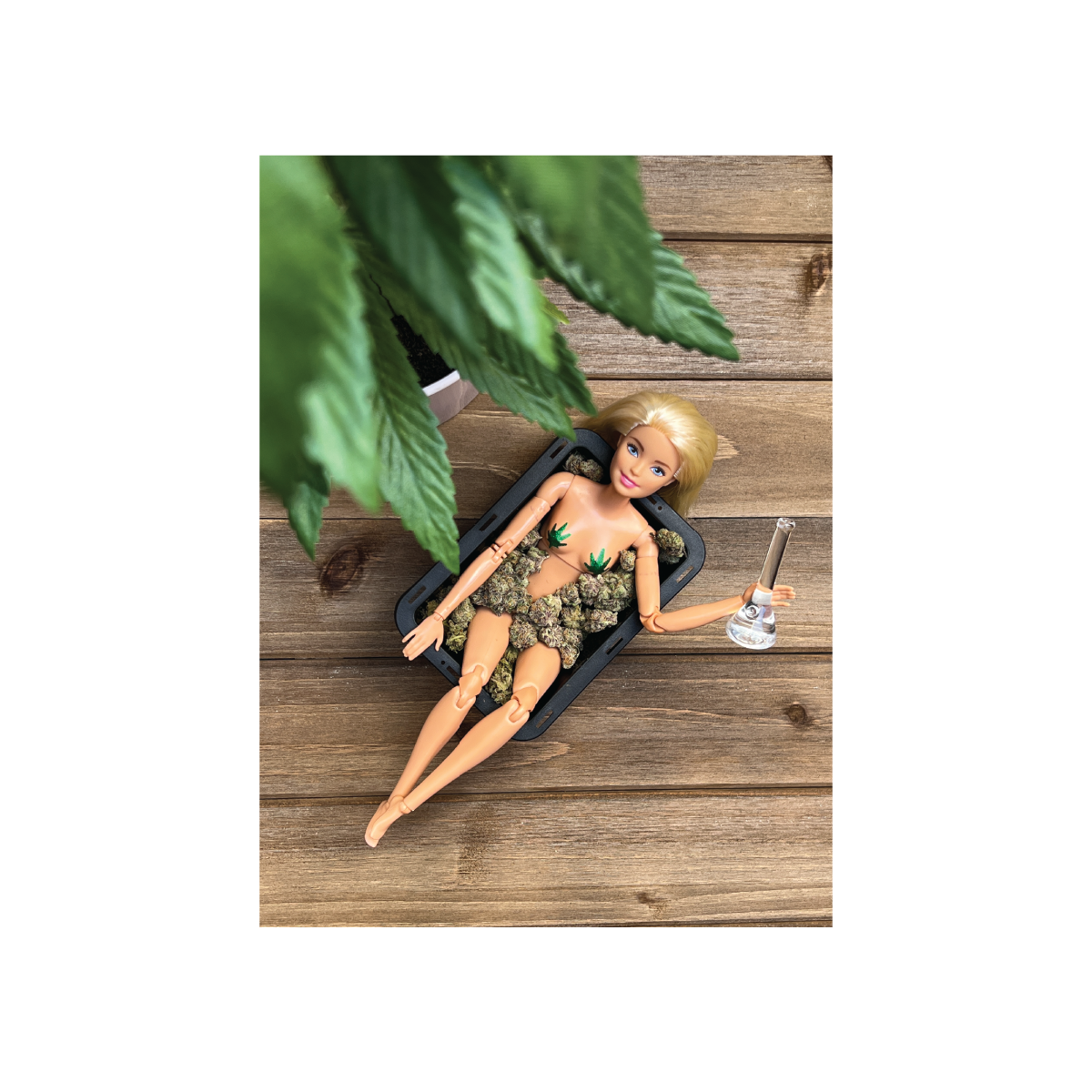 Stoner Doll Magnets