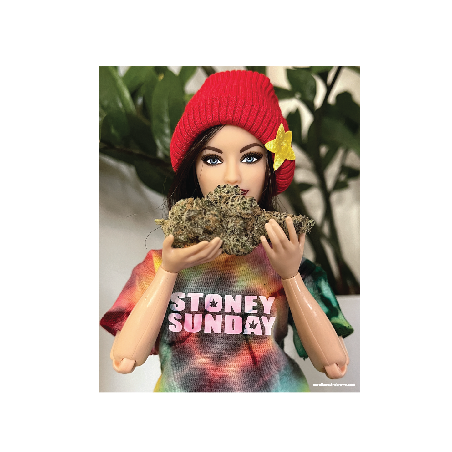 Stoney Sunday Bud Print